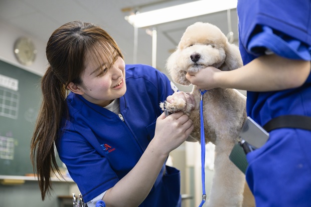 東京愛犬専門学校 インタビュー